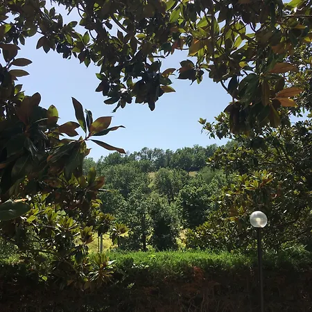 Agriturismo Valdolivo-3